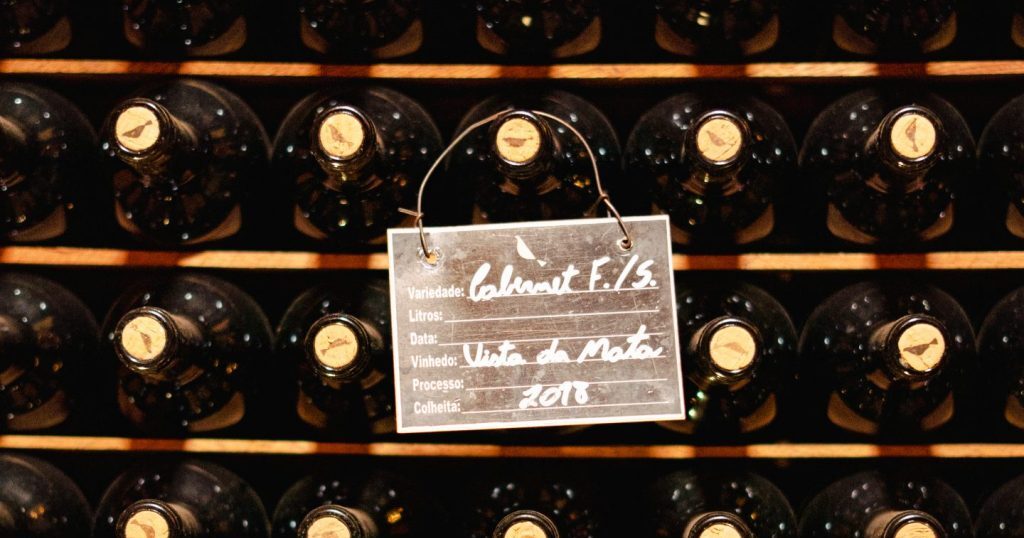 O Investimento Perfeito: Por Que as Safras de 2018 a 2022 São Essenciais para a Sua Adega