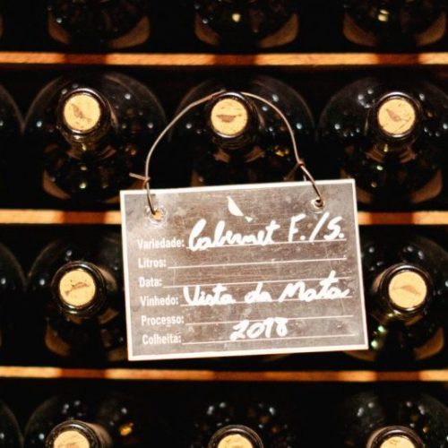 O Investimento Perfeito: Por Que as Safras de 2018 a 2022 São Essenciais para a Sua Adega